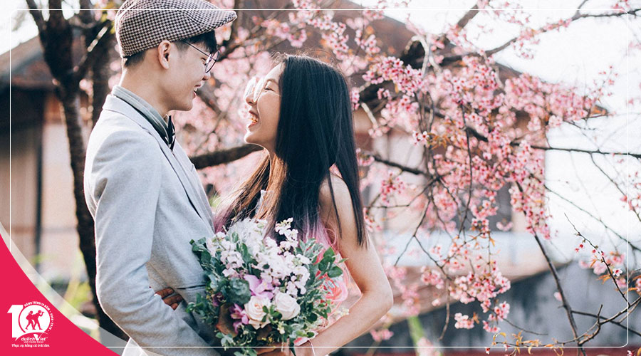 Du lịch Đà Lạt 3 ngày 2 đêm mùa hoa Mai Anh Đào khởi hành từ Sài Gòn