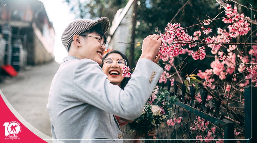 Du lịch Đà Lạt 3 ngày 2 đêm mùa hoa Mai Anh Đào khởi hành từ Sài Gòn