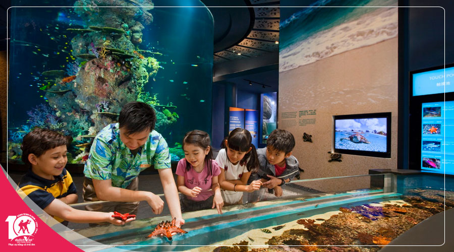 Du lịch Tết Dương Lịch 2025 Nha Trang 3 ngày 3 đêm giá tour tiết kiệm