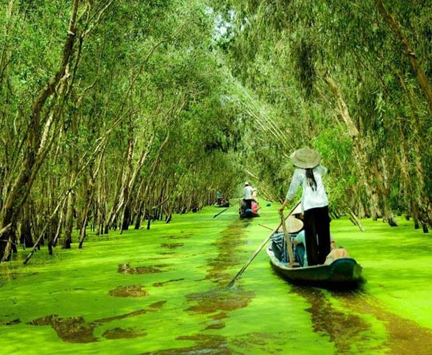 Du lịch Miền Tây - Du lịch Châu Đốc - Rừng Tràm Trà Sư từ Sài Gòn 2025