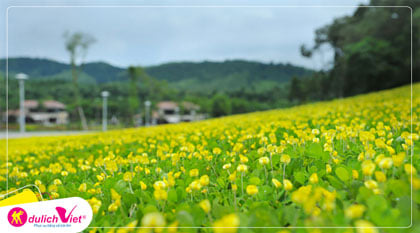 Tour Du lịch Quy Nhơn - Phú Yên 4 ngày 3 đêm giá tốt khởi hành từ Hà Nội