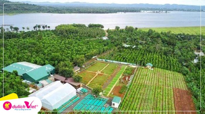 kham-nong-trai-coffe-Aeroco-Coffee-Farm-du-lich-viet