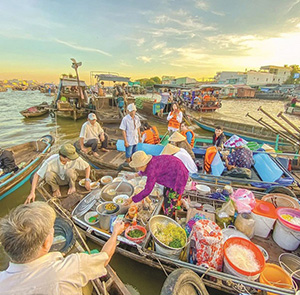 Tour Du lịch Miền Tây Mỹ Tho - Cần Thơ - Châu Đốc từ Sài Gòn 2025