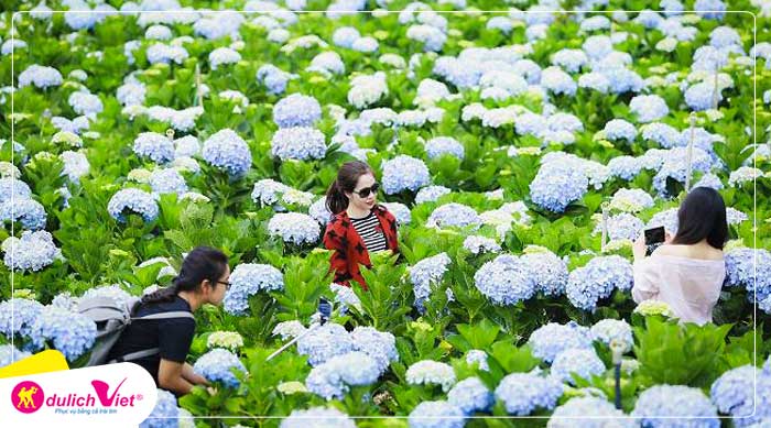 Combo du lịch Đà Lạt 4N3Đ khách sạn 3 sao từ Hà Nội giá tốt