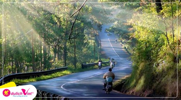 Cung đường đèo Mimosa