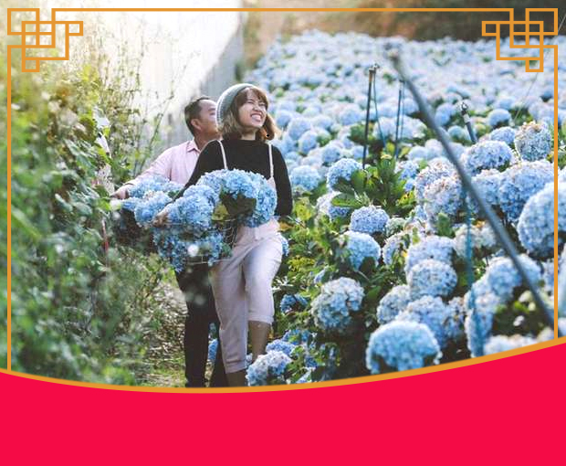 Du lịch Tết Nguyên Đán Đà Lạt 4 ngày 3 đêm khởi hành từ Sài Gòn 2025