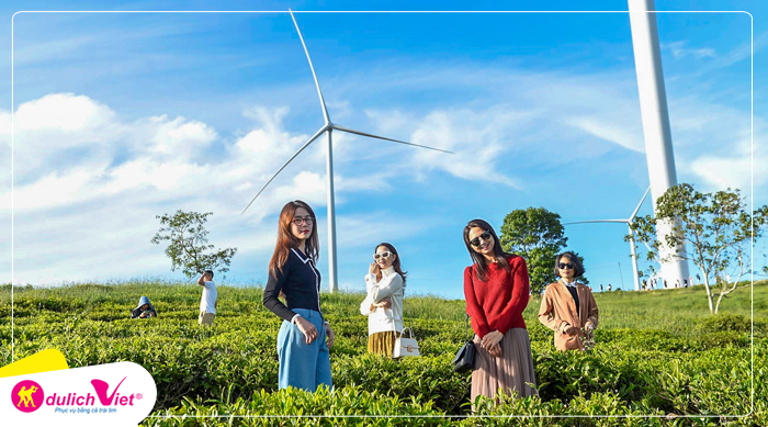 TOUR ĐÀ LẠT TẾT DƯƠNG LỊCH 3N2Đ | THÁC PONGOUR - MONGOLAND - NHÀ THỜ DOMAINE