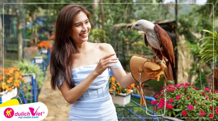 TOUR ĐÀ LẠT TẾT NGUYÊN ĐÁN 4N3Đ | THÁC BOBLA - VÙNG ĐẤT CỔ TÍCH