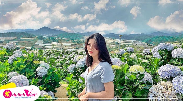 Du lịch Lễ 2/9 - Tour Đà Lạt - QUÊ Garden - Đồi Chè Cầu Đất - Cafe Mê Linh - Fairytale Land từ Sài Gòn 2025