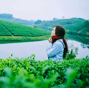 Du lịch Lễ 30/4 - Tour Đà Lạt - Đồi Chè Cầu Đất - Cafe Mê Linh từ Sài Gòn 2025