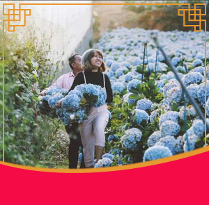 Du lịch Tết Nguyên Đán Đà Lạt 4 ngày 3 đêm khởi hành từ Sài Gòn 2025