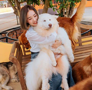 Du lịch Tết Âm lịch Tour Du lịch Đà Lạt Đồi Chè Cầu Đất - Cafe Mê Linh - Nông Trại Cún Puppy từ Sài Gòn 2025