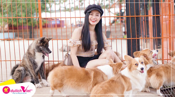 me-linh-coffee-Garden-du-lich-tet-am-lich-du-lich-viet