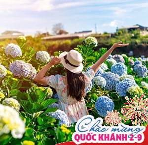 Du lịch Lễ 2/9 Tour Du lịch Đà Lạt - Nhà Thờ Don Bosco từ Sài Gòn 2025