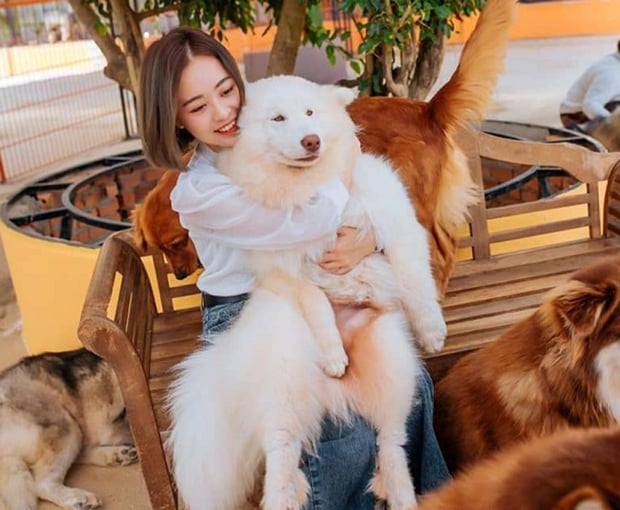 Du lịch Tết Âm lịch Tour Du lịch Đà Lạt Đồi Chè Cầu Đất - Cafe Mê Linh - Nông Trại Cún Puppy từ Sài Gòn 2025