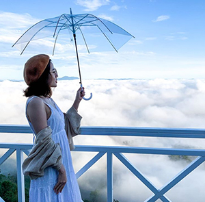 Du lịch Tết Quý Mão Tour Du lịch Đà Lạt - Thiền Viện Trúc Lâm - Đồi Chè Cầu Đất từ Sài Gòn 2025