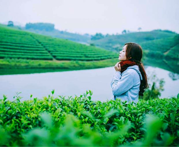 Du lịch Lễ 30/4 - Tour Đà Lạt - Đồi Chè Cầu Đất - Cafe Mê Linh từ Sài Gòn 2025