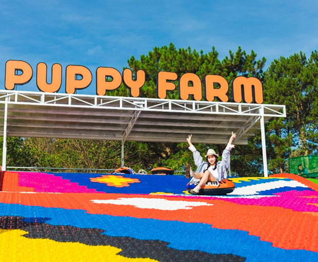 Du lịch Lễ 30/4 - Tour Đà Lạt - Mongoland - Puppyfram - Fairytale Land từ Sài Gòn 2025