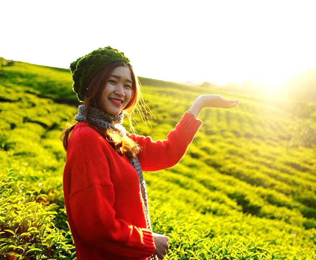 Du lịch Đà Lạt - Đồi Chè Cầu Đất - Cafe Mê Linh - Nông Trại Cún Puppy từ Sài Gòn 2025