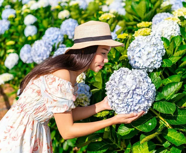 TOUR NHA TRANG - ĐÀ LẠT TẾT NGUYÊN ĐÁN 5N4Đ | 3 ĐẢO - VINWONDERS - VIEW ĐÀ LẠT