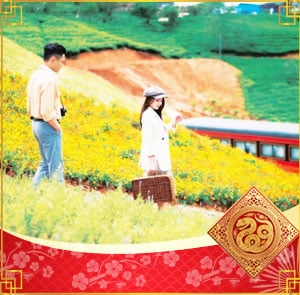 Du lịch Đà Lạt Tết Nguyên Đán - Thiền Viện Trúc Lâm - Nhà Thờ Don Bosco từ Sài Gòn 2025