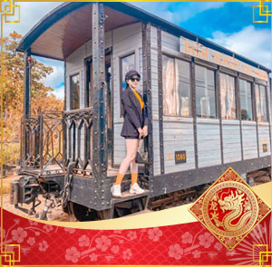 Du lịch Đà Lạt Tết Âm lịch - Thiền Viện Trúc Lâm - Nhà Thờ Don Bosco từ Sài Gòn 2025