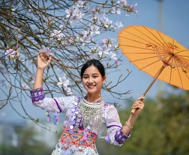 TOUR TÂY BẮC MÙA XUÂN 6N5Đ | MỘC CHÂU - ĐIỆN BIÊN - SAPA - ĐỀN HÙNG