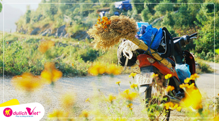 Du lịch Hà Giang - Quản Bạ - Đồng Văn - Lũng Cú - Sông Nho Quế từ Sài Gòn 2025