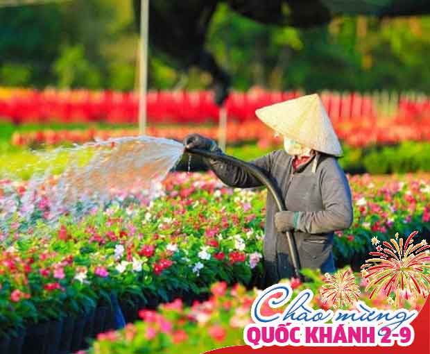 Du lịch Lễ 2/9 - Tour Đồng Tháp - Làng hao Sa Đéc - Cần Thơ từ Sài Gòn 2025