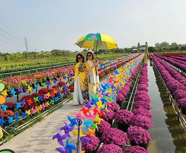 TOUR ĐỒNG THÁP - CẦN THƠ TẾT NGUYÊN ĐÁN 2N1Đ | Về Xứ Hoa Kiểng Miền Tây - Làng hoa Sa Đéc