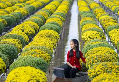 TOUR MIỀN NAM TẾT DƯƠNG LỊCH 2N1Đ | ĐỒNG THÁP - LÀNG HOA SA ĐÉC - CẦN THƠ