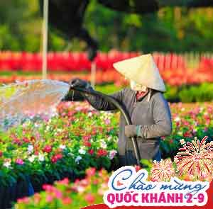 Du lịch Lễ 2/9 - Tour Đồng Tháp - Làng hao Sa Đéc - Cần Thơ từ Sài Gòn 2025