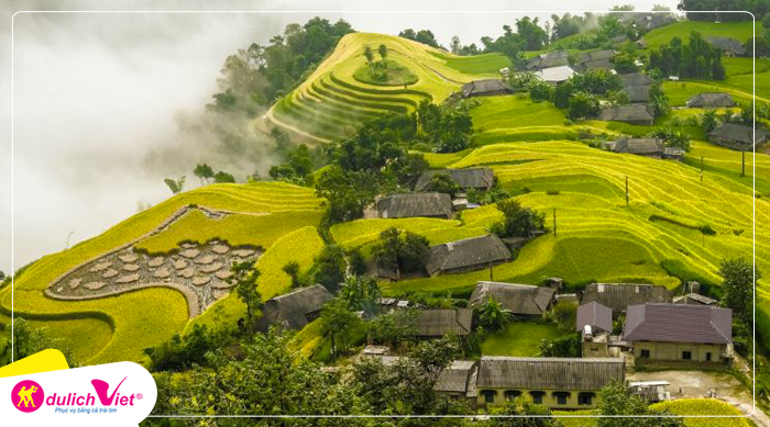 hoang-su-phi-mua-lua-chin-du-lich-viet(1)