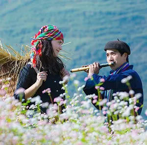 TOUR ĐÔNG BẮC MÙA THU 4N3Đ | HÀ GIANG - ĐỒNG VĂN - LŨNG CÚ - NHO QUẾ