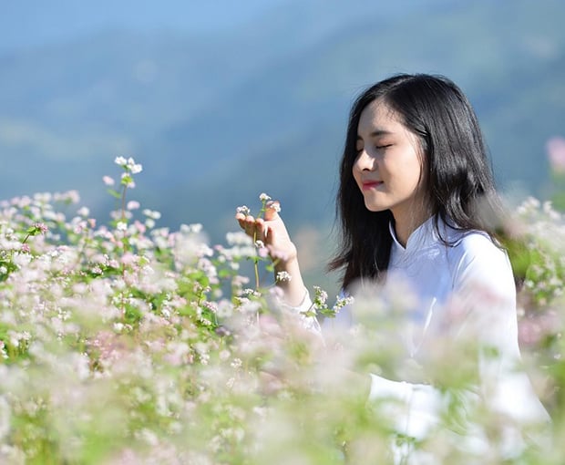 Du lịch Đông Bắc - Hà Giang - Quản Bạ - Cao Bằng mùa Hoa Tam Giác Mạch từ Sài Gòn 2025