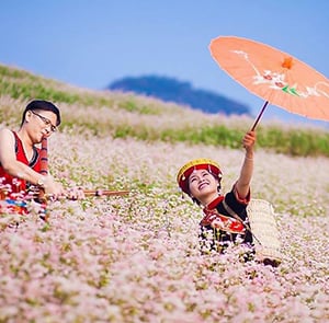 Du lịch Đông Bắc - Hà Nội - Hà Giang - Cao Bằng mùa Hoa Tam Giác Mạch từ Sài Gòn 2025