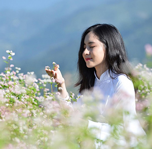 Du lịch Đông Bắc - Hà Giang - Quản Bạ - Cao Bằng mùa Hoa Tam Giác Mạch từ Sài Gòn 2025