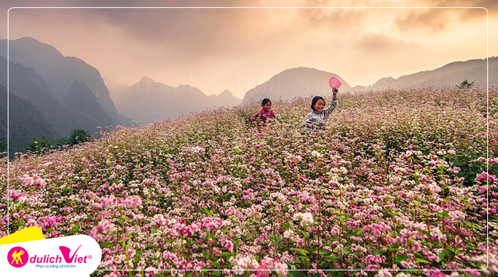 Du lịch Đông Bắc - Hà Giang - Quản Bạ - Cao Bằng mùa Hoa Tam Giác Mạch từ Sài Gòn 2025