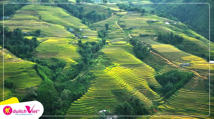 ngai-thau-du-lich-viet