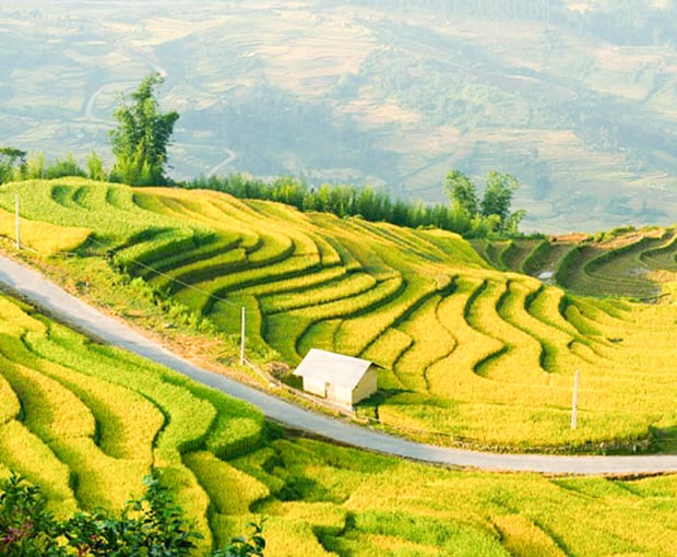 Du lịch Đông Bắc - Hà Giang - Quản Bạ - Hoàng Su Phì - Sông Nho Quế mùa lúa chín từ Sài Gòn 2025