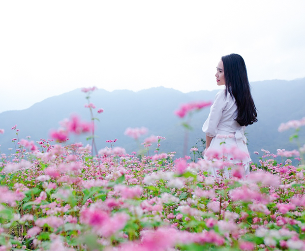 Du lịch Đông Bắc Hoa Tam Giác Mạch - Hà Nội - Hà Giang - Cao Bằng - Thác Bản Giốc từ Sài Gòn 2025