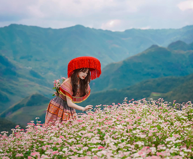 Du lịch Đông Bắc Hoa Tam Giác Mạch - Hà Nội - Hà Giang - Quản Bạ - Sông Nho Quế  từ Sài Gòn 2025
