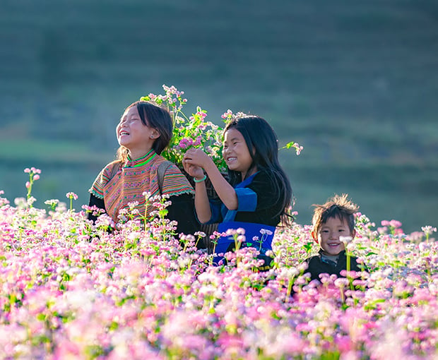 Du lịch Đông Tây Bắc - Sapa - Hà Giang - Sông Nho Quế mùa Hoa Tam Giác Mạch từ Sài Gòn 2025