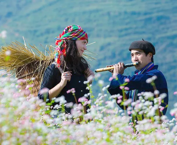 TOUR ĐÔNG BẮC MÙA THU 4N3Đ | HÀ GIANG - ĐỒNG VĂN - LŨNG CÚ - NHO QUẾ