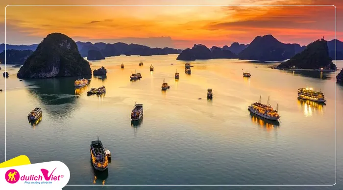 TOUR MIỀN BẮC TẾT DƯƠNG LỊCH 6N5Đ | HẠ LONG - NINH BÌNH - SAPA - FANSIPAN