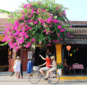 Du lịch Đà Nẵng Thu - Huế - Động Phong Nha 4N3Đ từ Sài Gòn 2025