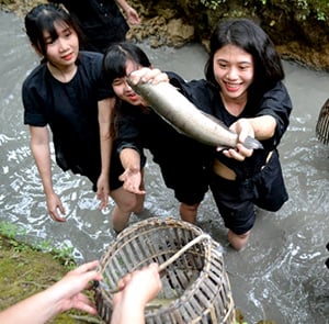 Du lịch Hè - Tour Du lịch Miền Tây - Tour Tát Mương Bắt Cá 1 ngày từ Sài Gòn