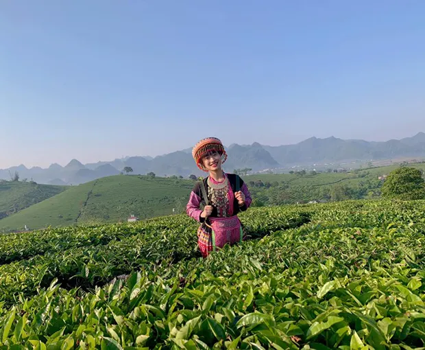 TOUR TÂY BẮC TẾT DƯƠNG LỊCH 5N4Đ | MỘC CHÂU - ĐIỆN BIÊN - SAPA - FANSIPAN