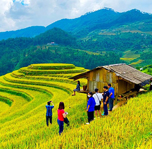 Du lịch Tây Bắc - Hà Nội - Mộc Châu - Sơn La - Điện Biên - Mù Cang Chải từ Sài Gòn 2025