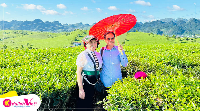 Đồi chè Mộc Châu